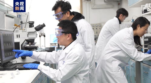 我國科研人員實現二維金屬碲化物材料宏量制備，助力材料科學規模化應用